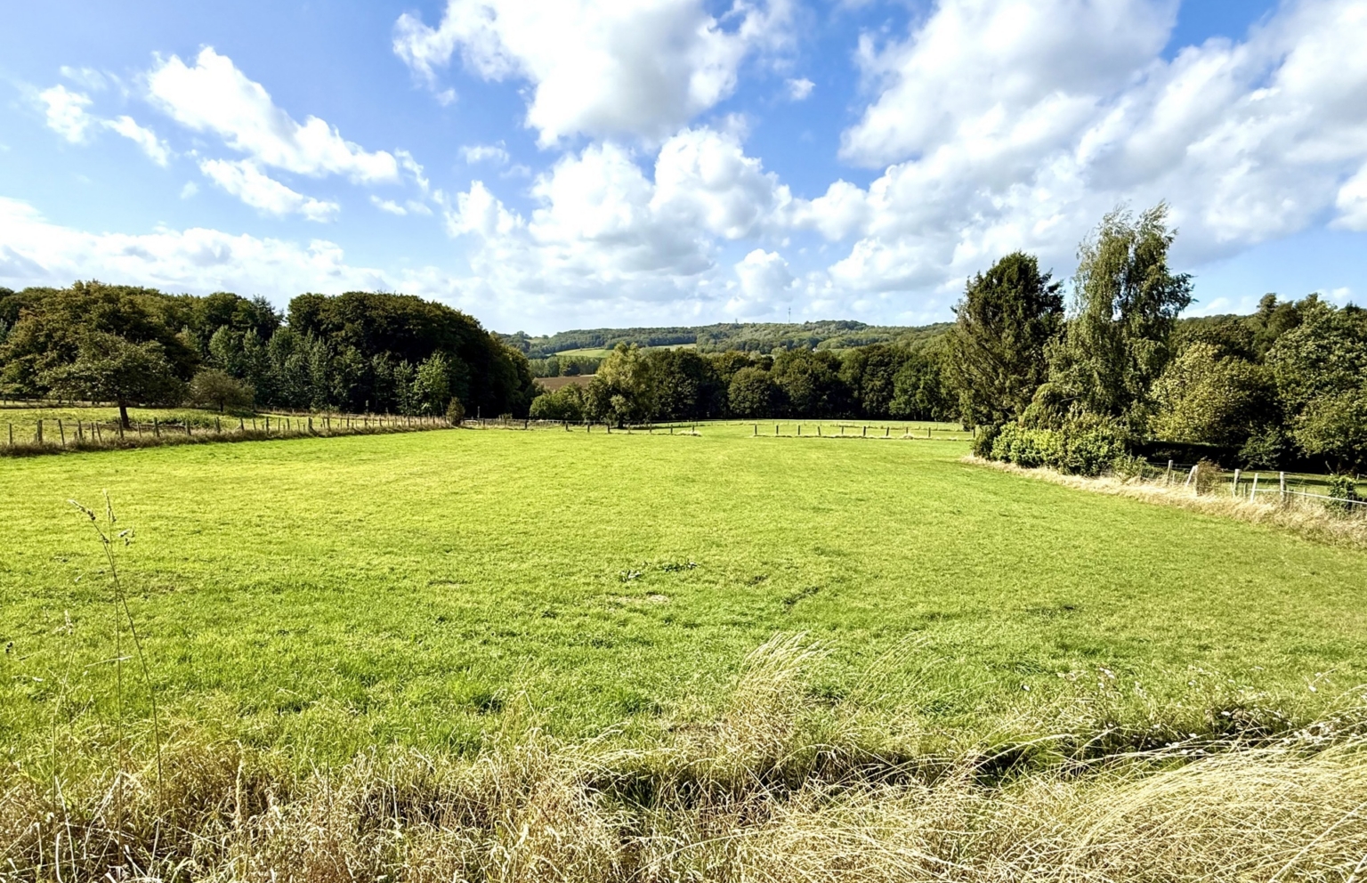 Efada865cc95499e97b19e6864f9a39a