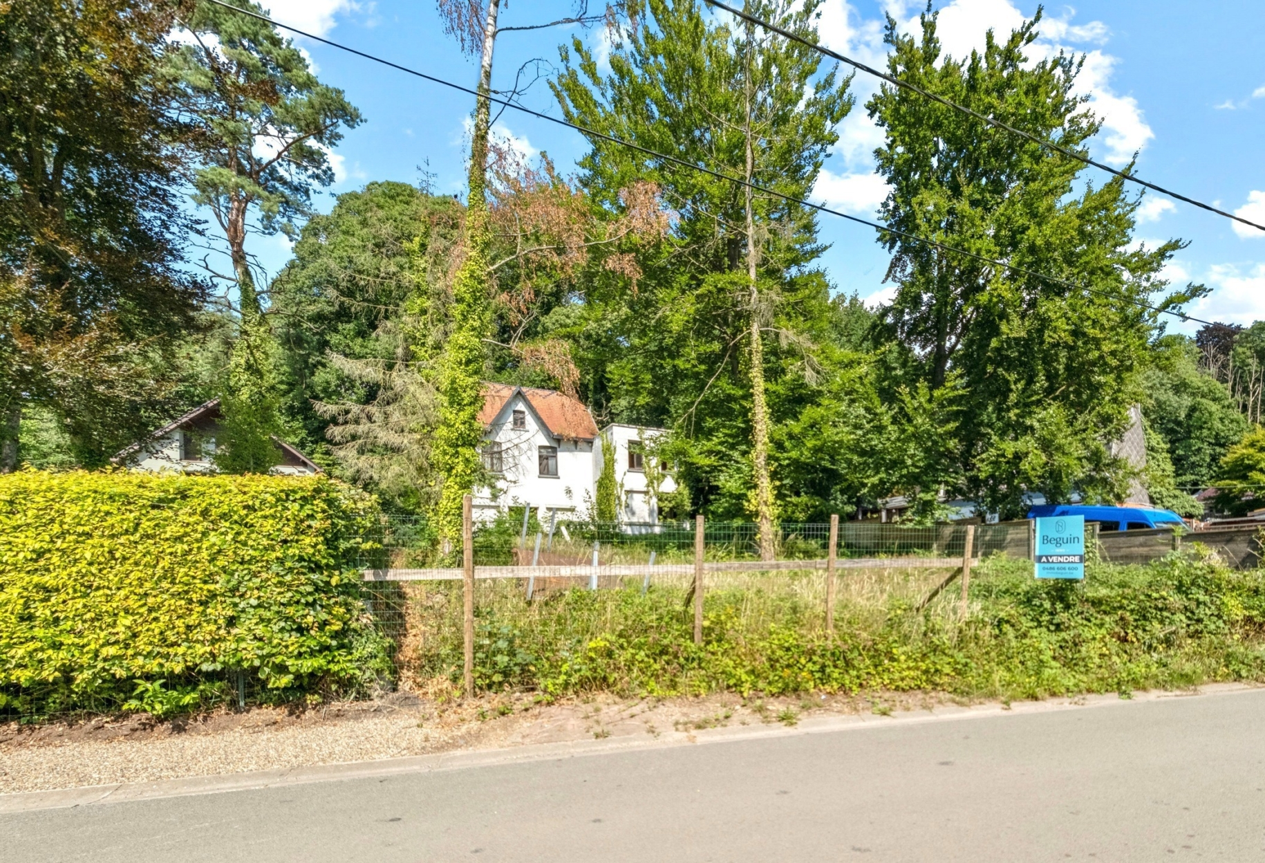 46ca4a25a5164caa811ba6f66d2b24c2