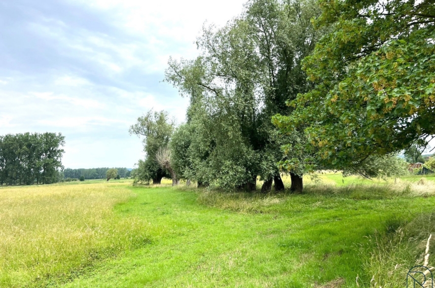 0eec55c1333940c9bd8f02edf0937ecf