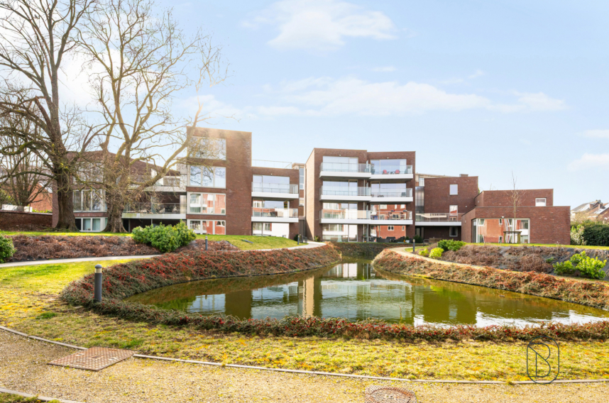 29066d868a3a4257b71d3a2297a77972