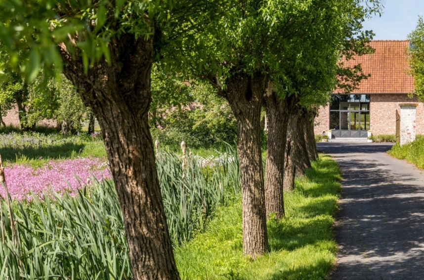 46038d288fa64a44b06a5c2099381c8e