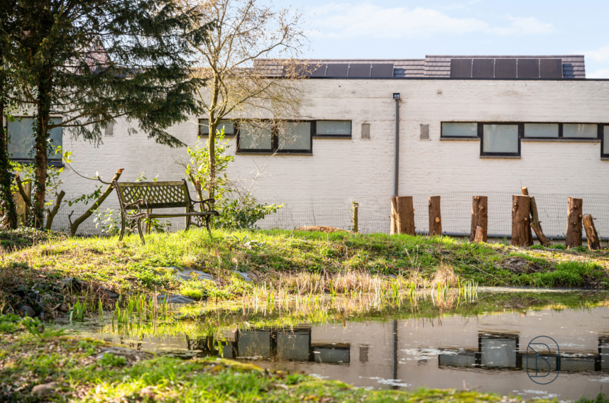 55de766773484b1b89896d47f555adca