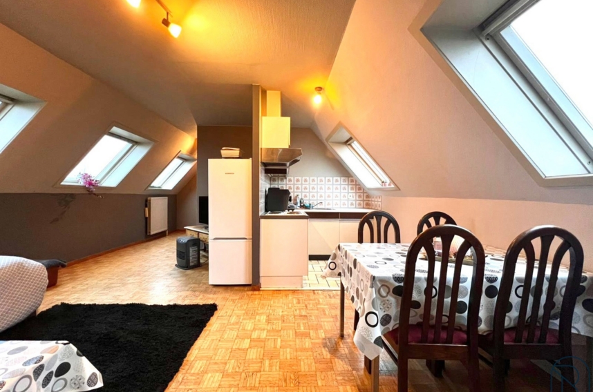 77e36311008a4621bf5cdda34c56244c