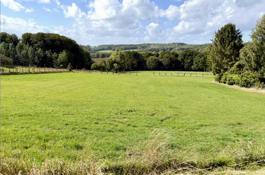 C3f0368ef4b14973addb0a3953024638