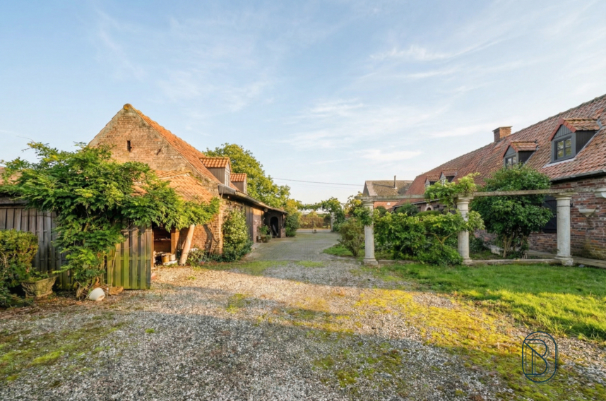 999ee12fdfa04f51a1db5569f10bf922