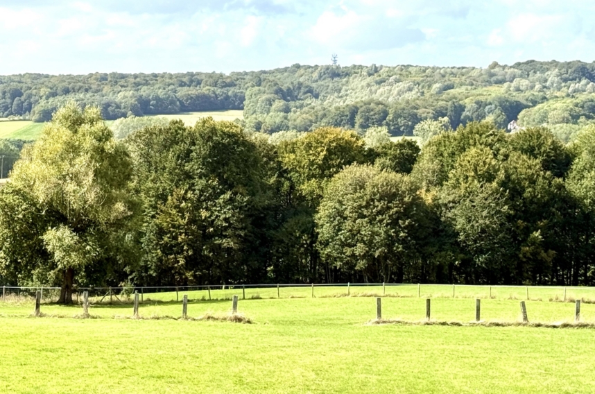 F1ca867c7e2649c08e47e64cad6edccb