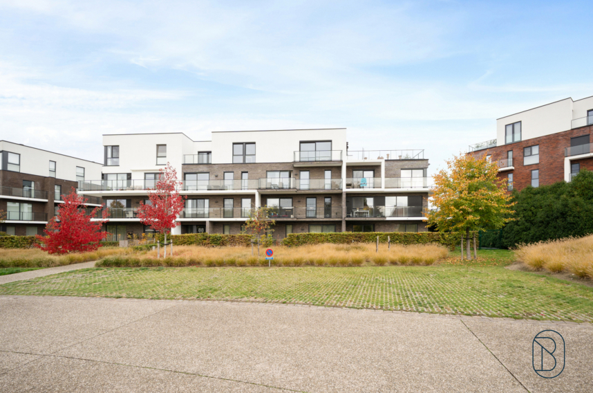 F62e20acc2884c188cbe5837641e7336