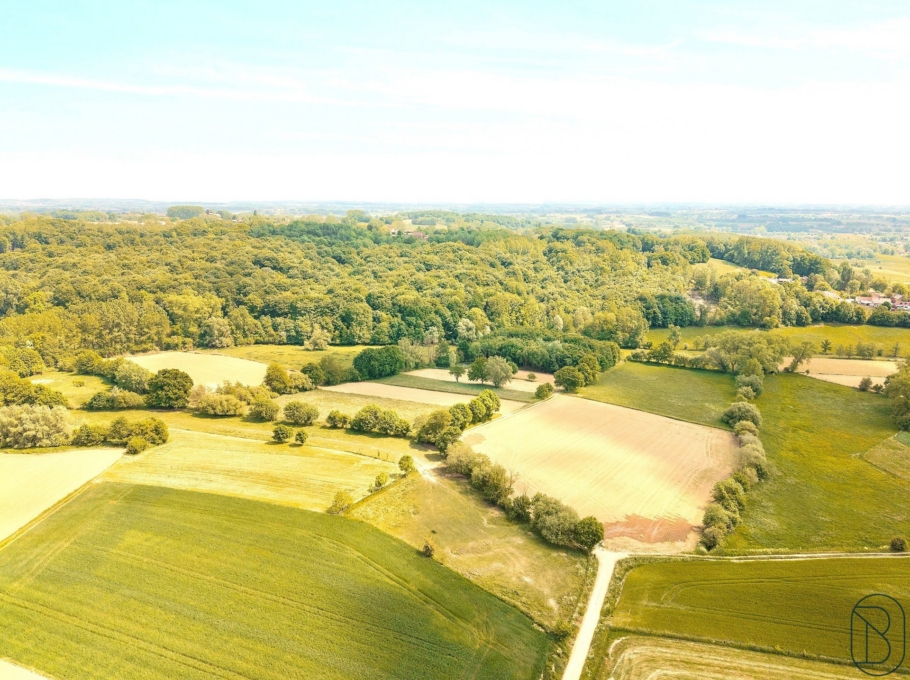 008095e6a9614dd7b0ad81d187bd9524