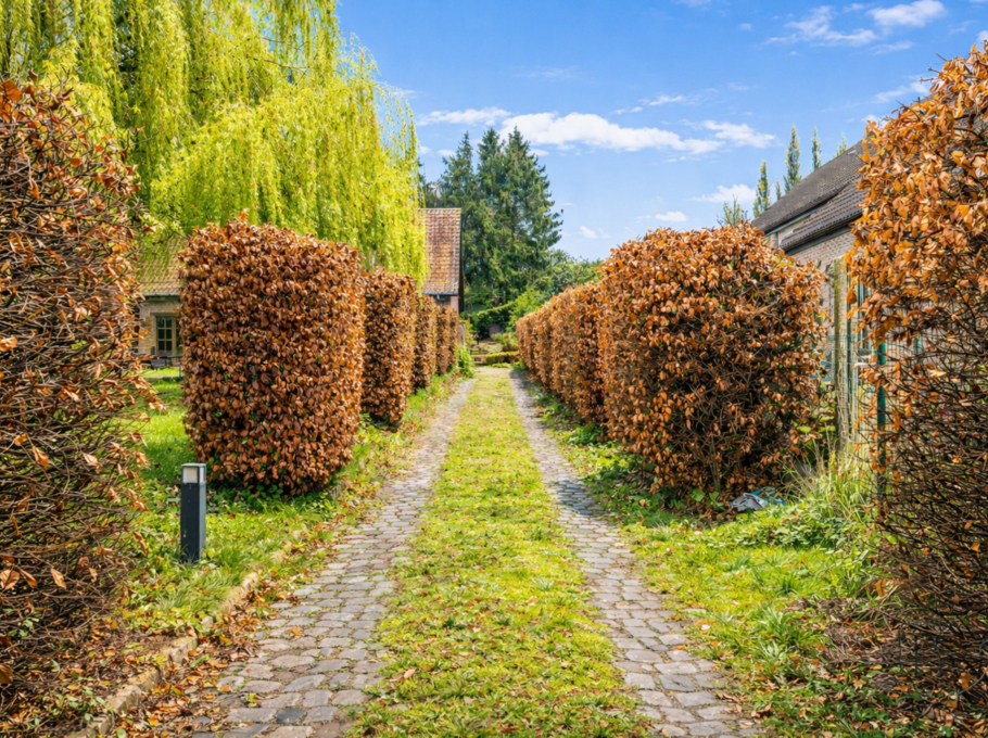 9997e441db1341b49650eb3c6f8577f1