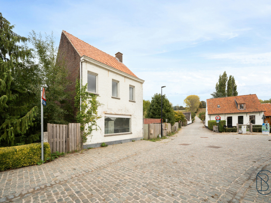 122f19648fdf46769cc8b773157504f6