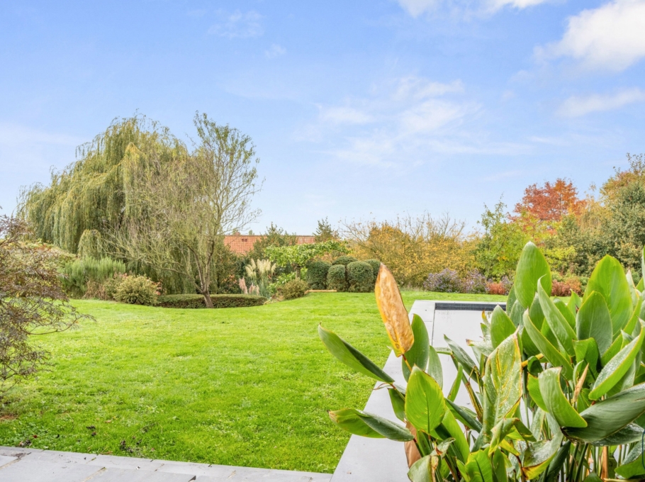 254d9bf5a8db40968b162a4b157573e6