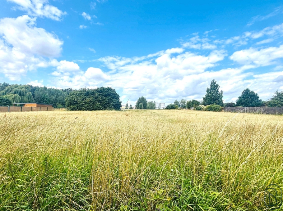 2f2f414a64974e139a84a494bda68b14