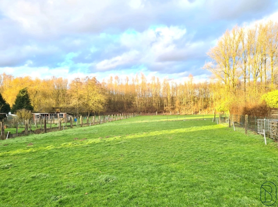 2fae1f5909604d21a3139d11191d7577