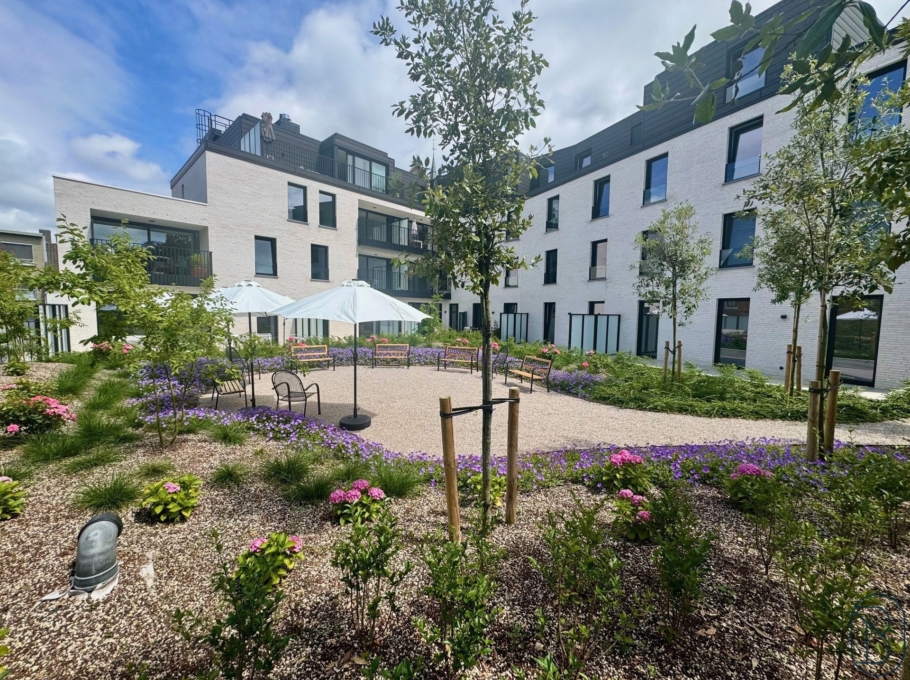 4293cdd4063f4674b18d077d706e4595