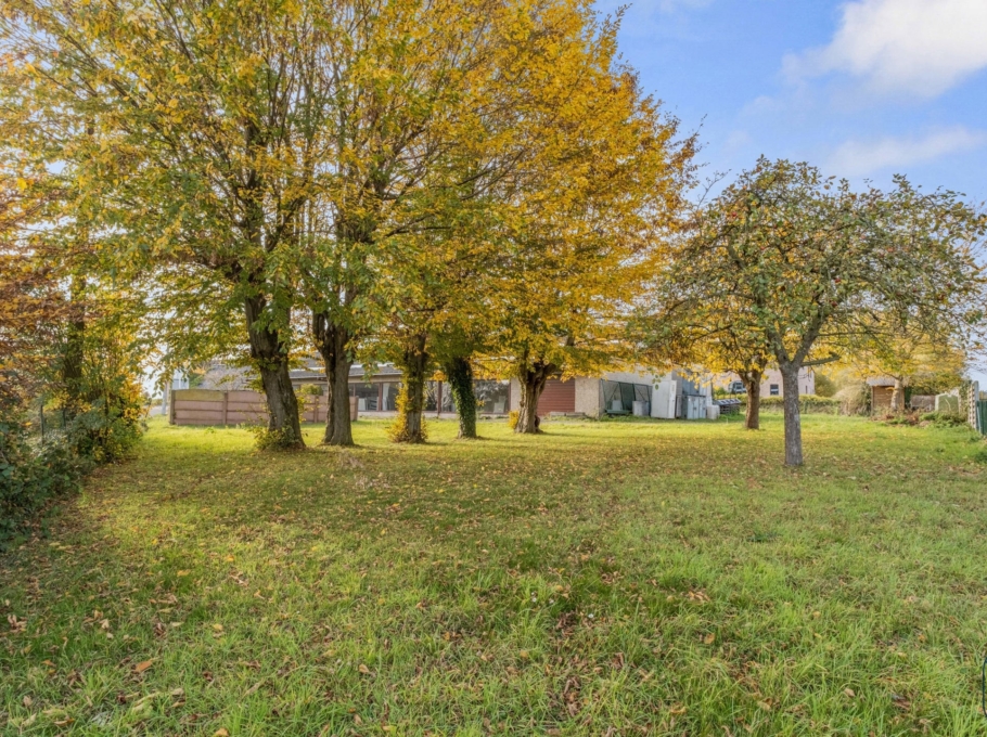 42cace376e044a68a43ee369bd424b64