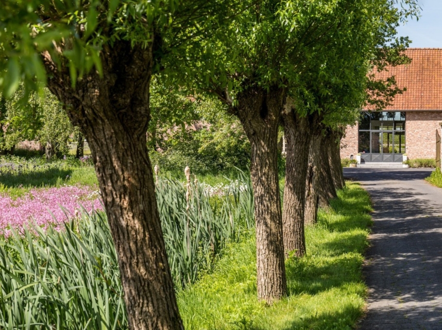 46038d288fa64a44b06a5c2099381c8e