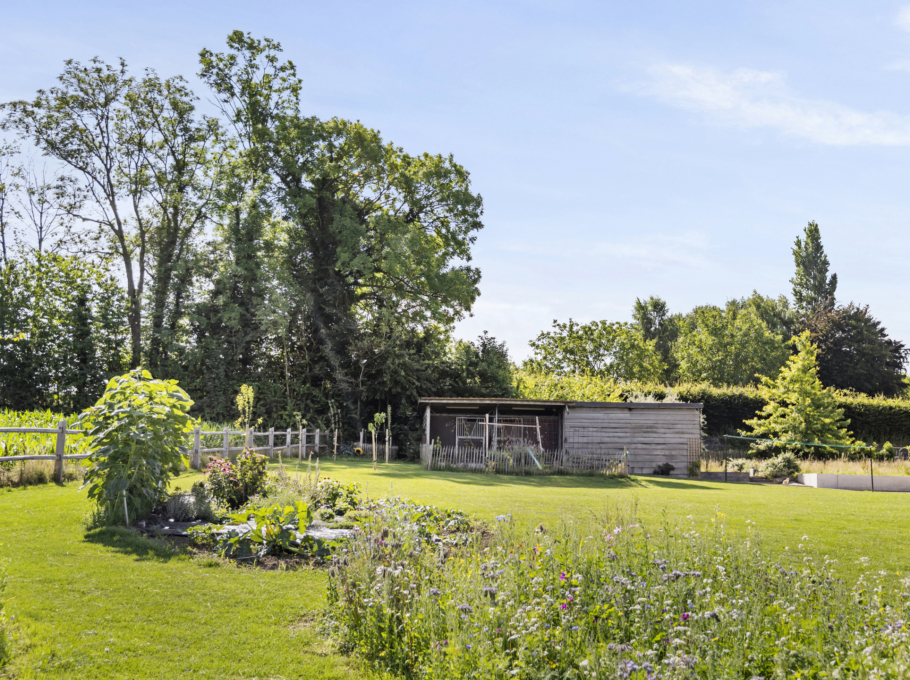 58fb72c6bb31449696c6019e70151916