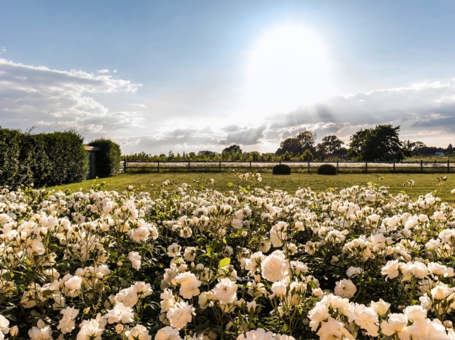 6d6736de1f2e4d4bab2cc656e1e3b12a