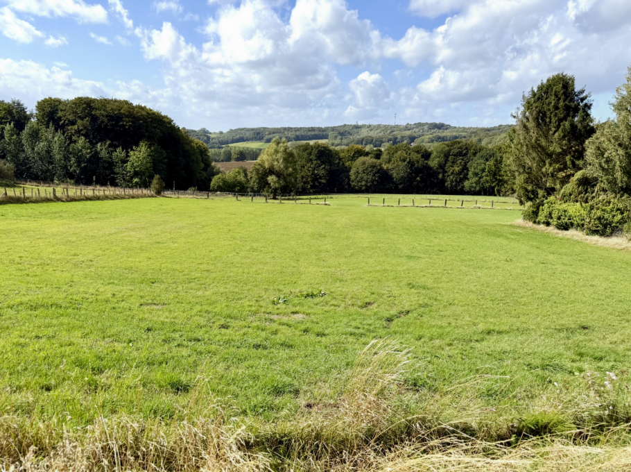 C3f0368ef4b14973addb0a3953024638