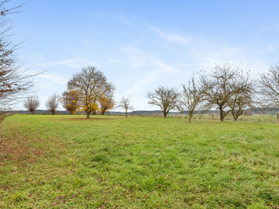 A7a1785c59d54d759d34d2d93ea2362a