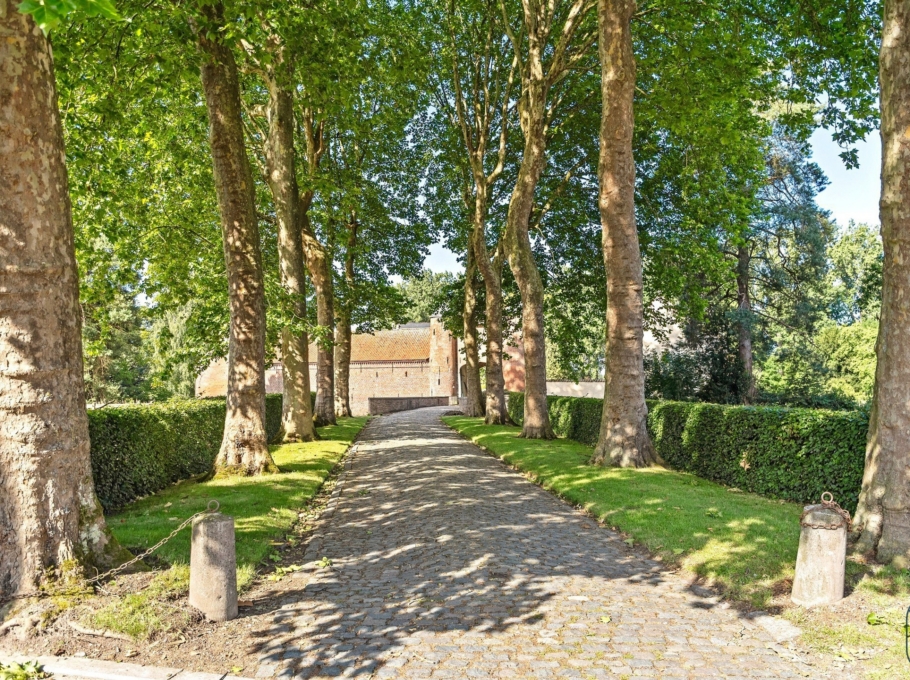 C77ad707944a464d97f6019c3c8f2cc8