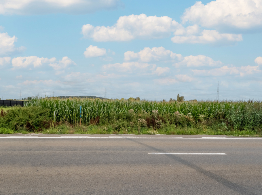 C9a6b20c585c46389e19e5f63f077d1e