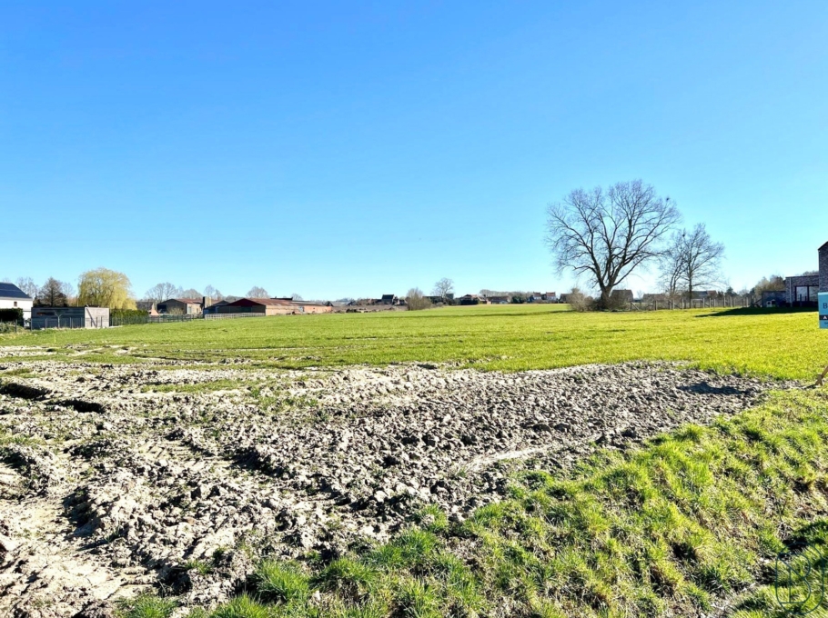 Cc01615a2ddd4a82a71d1455b7f06959