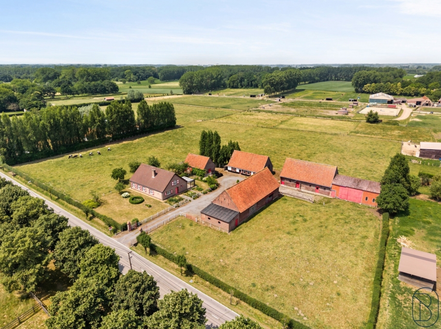 D1ead694b5ef4493bc74c523ce252ed8