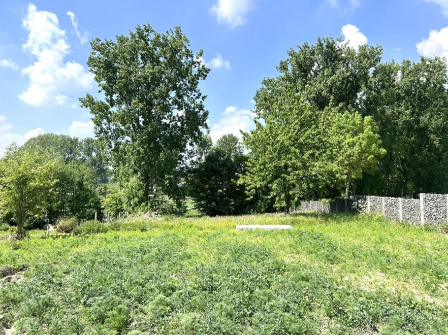 D505f48e2ff44901ad8068471e3b2358