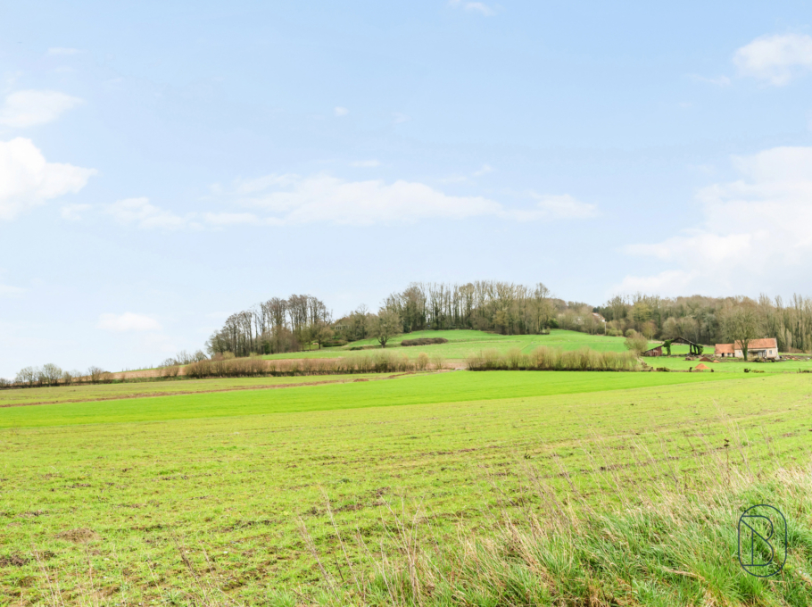 D8b46a4f65eb41b7aa9fc899c886dc65