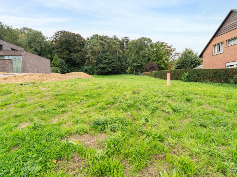 F8f1d9a4602d4b97bd153cafa376f55b