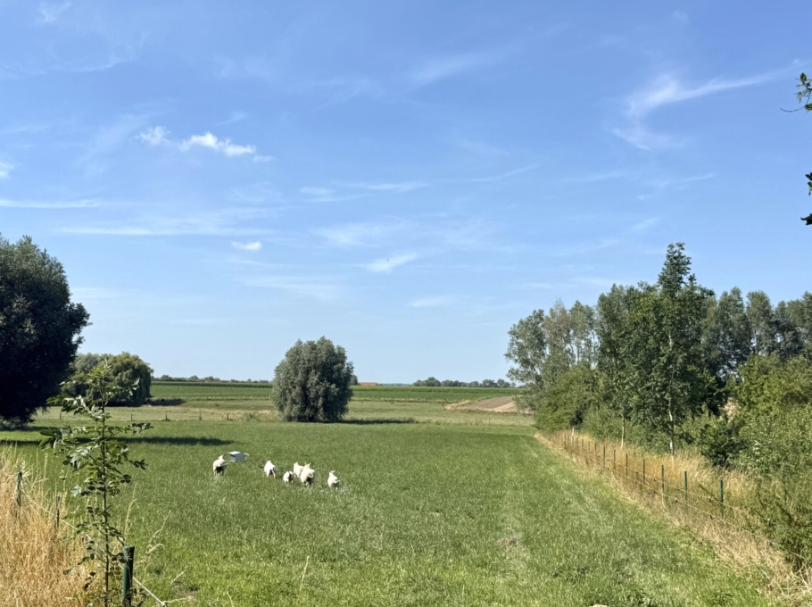 Fe6725104920490db26361c755b66c4a